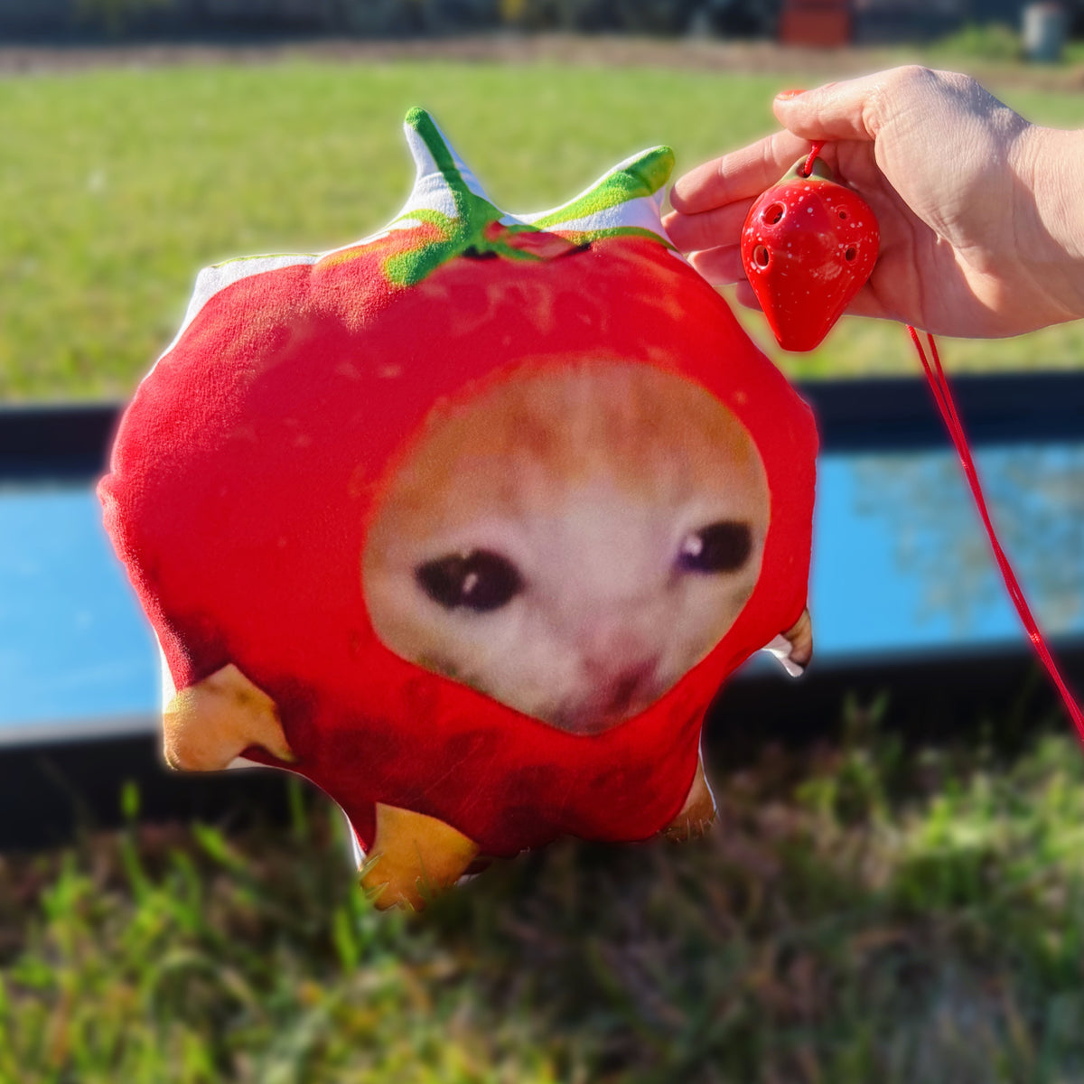 Strawberry Ocarina – FreckledZelda