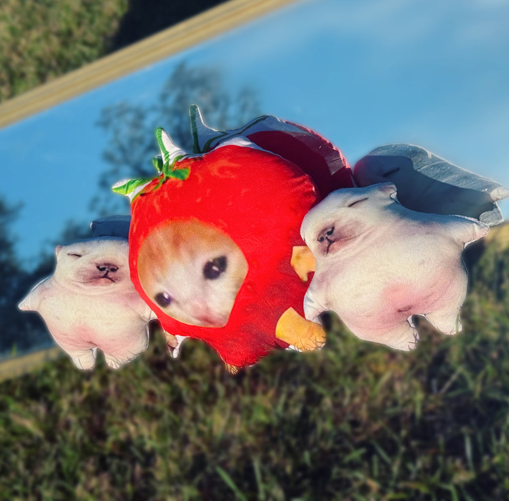 Strawberry Cat